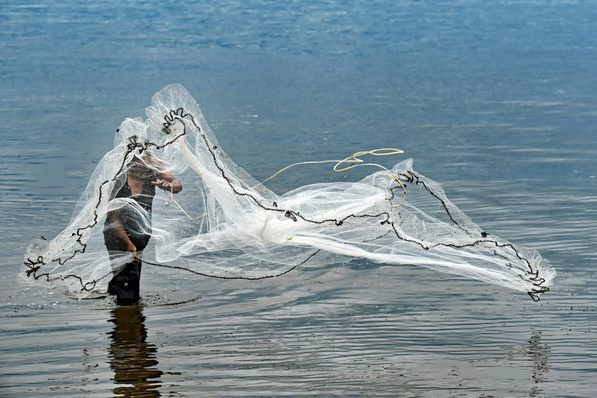 A fisher in the shallows throwing a cast net, which opens in a wide white circle above the water on the Cairns Esplanade.